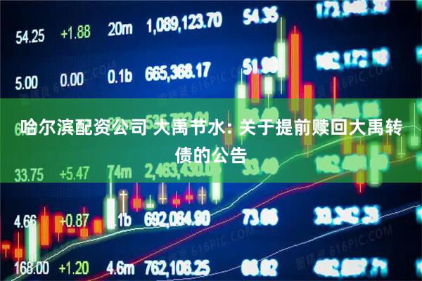 哈尔滨配资公司 大禹节水: 关于提前赎回大禹转债的公告