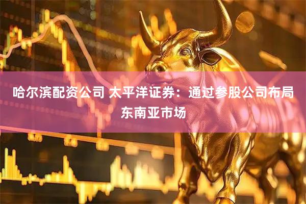 哈尔滨配资公司 太平洋证券：通过参股公司布局东南亚市场